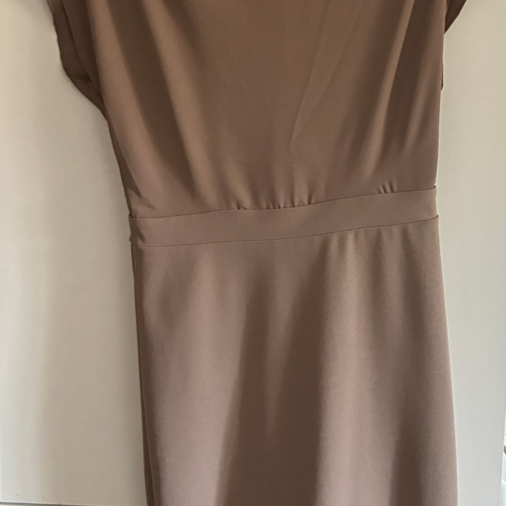 Express Brown Sheath Dress with Dolman Cap Sleeves